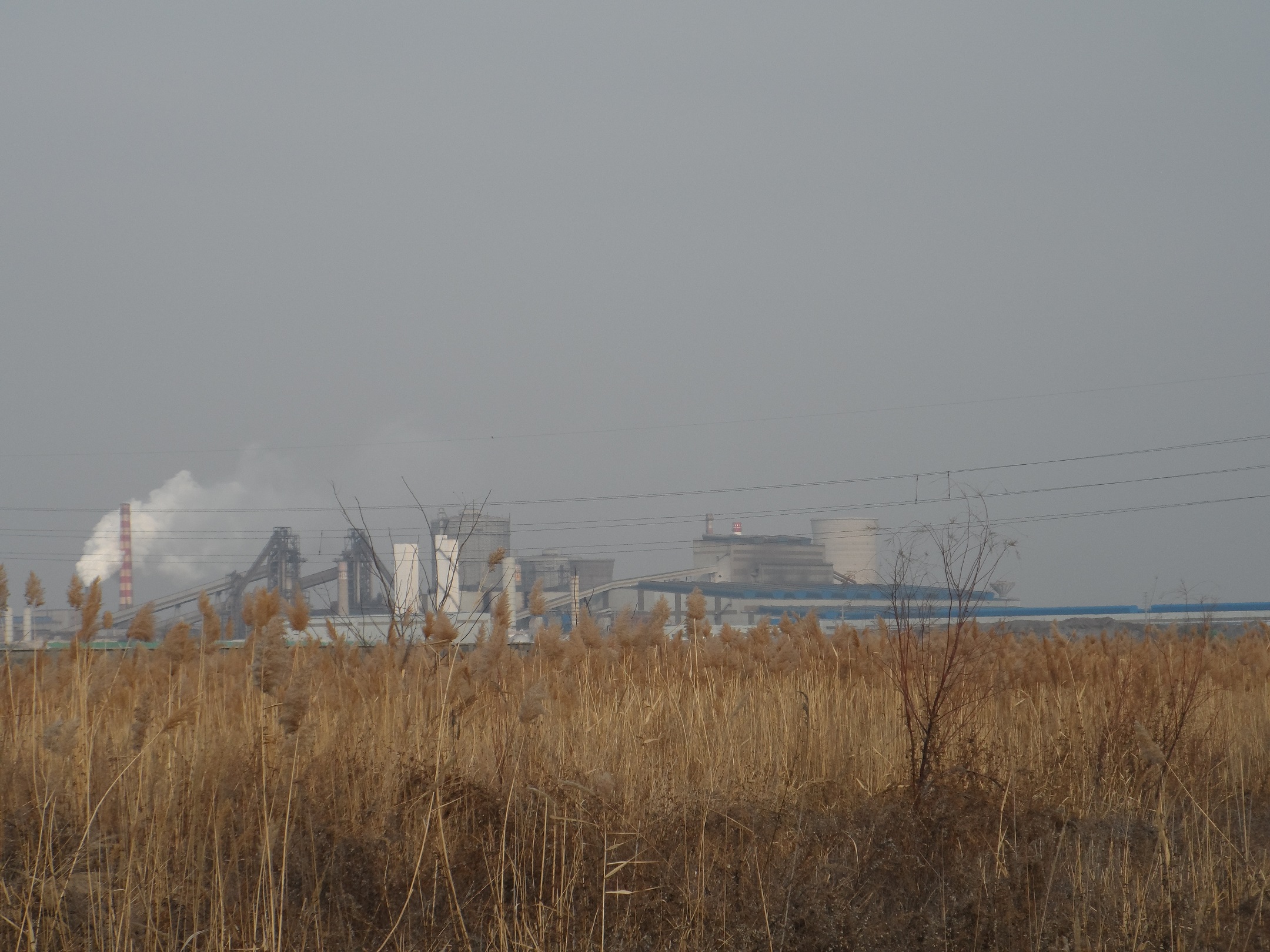 說(shuō)明: E:\2013年未完成項(xiàng)目\百度云同步盤\2016年\（書）剛和石油（營(yíng)口）有限公司8萬(wàn)噸潤(rùn)滑油脂加工項(xiàng)目2016.11.16\現(xiàn)場(chǎng)照片\SAM_7598.JPG